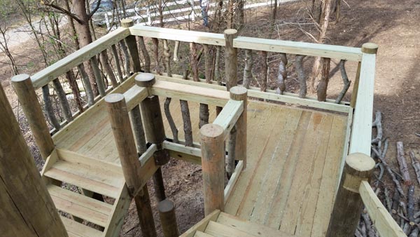 Dale Jr Treehouse Stairs